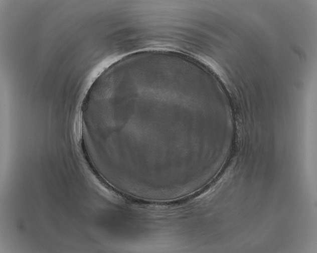 X0000113251371200910011337