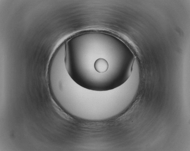 X0000113251372200910011337