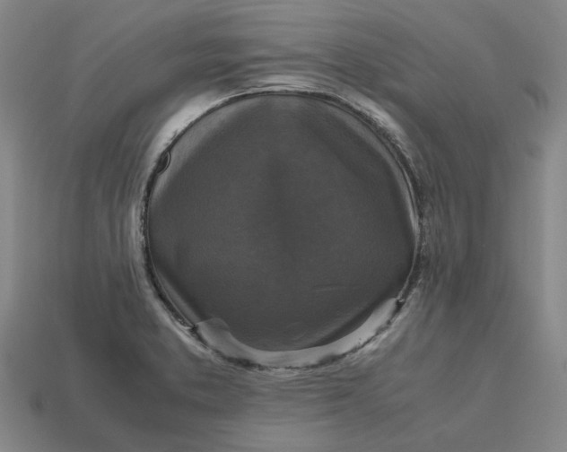 X0000113251373200910011337