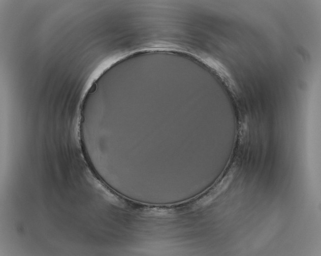 X0000113251374200910011337