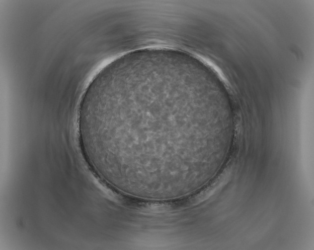 X0000113251375200910011337