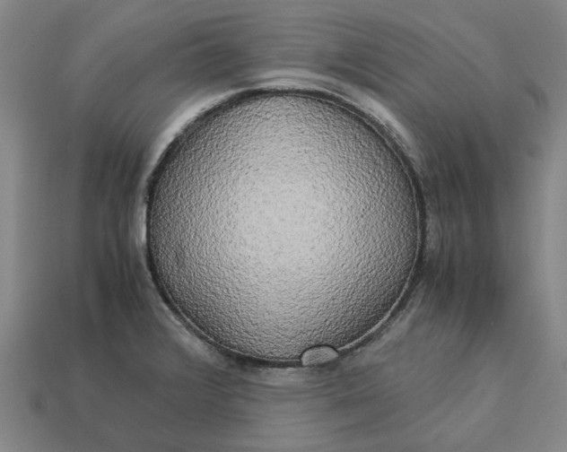 X0000113251376200910011337