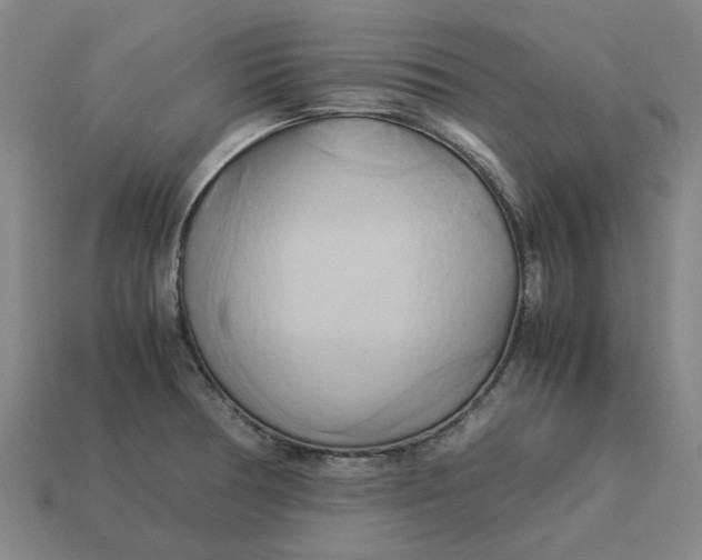 X0000113251378200910011337