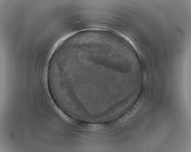 X0000113251379200910011337