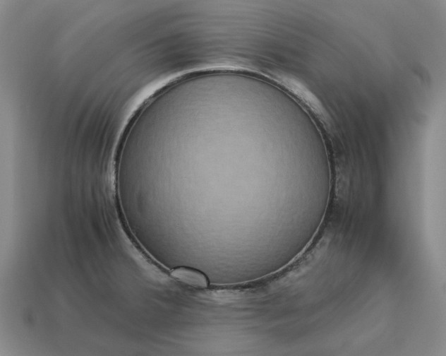 X0000113251380200910011337