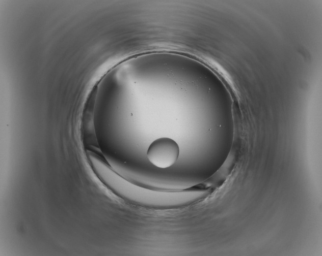 X0000113251381200910011337