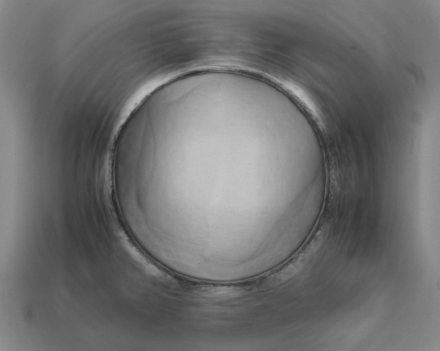 X0000113251382200910011337