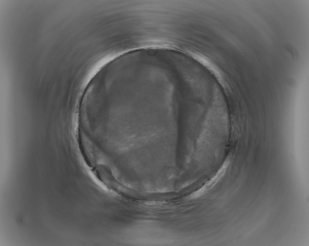 X0000113251383200910011337