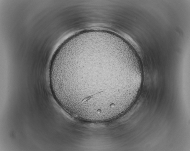 X0000113251384200910011337