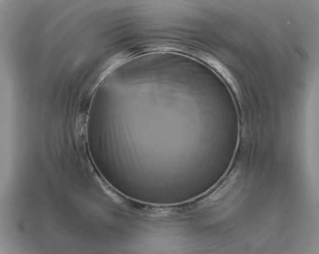 X0000113251385200910011337