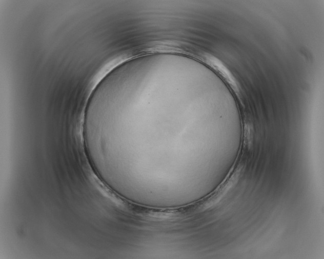 X0000113251386200910011337