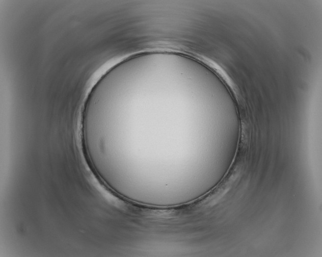 X0000113251387200910011337