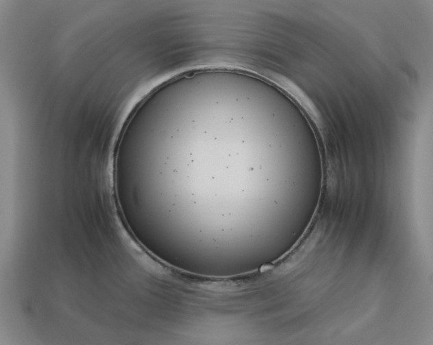 X0000113251388200910011337