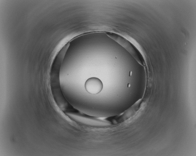 X0000113251389200910011337