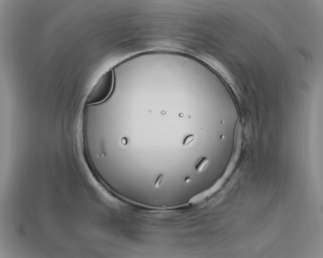 X0000113251391200910011337