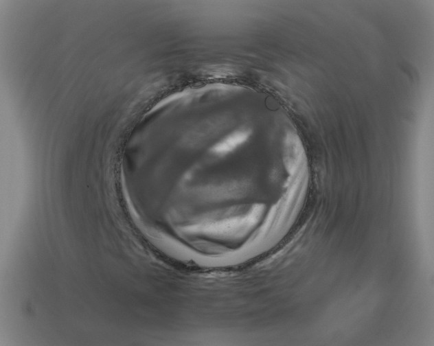 X0000113251393200910011336