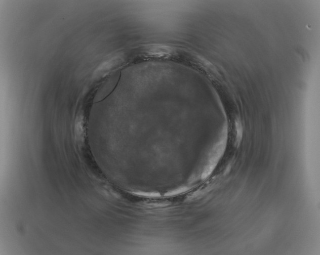 X0000113251394200910011336