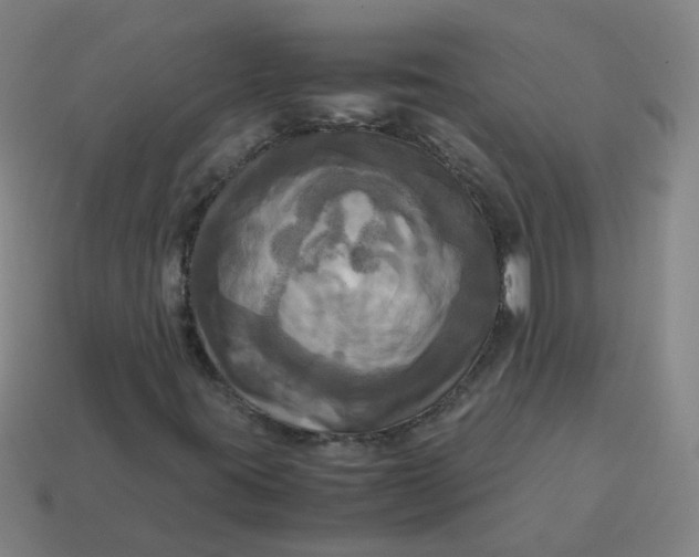 X0000113251395200910011336