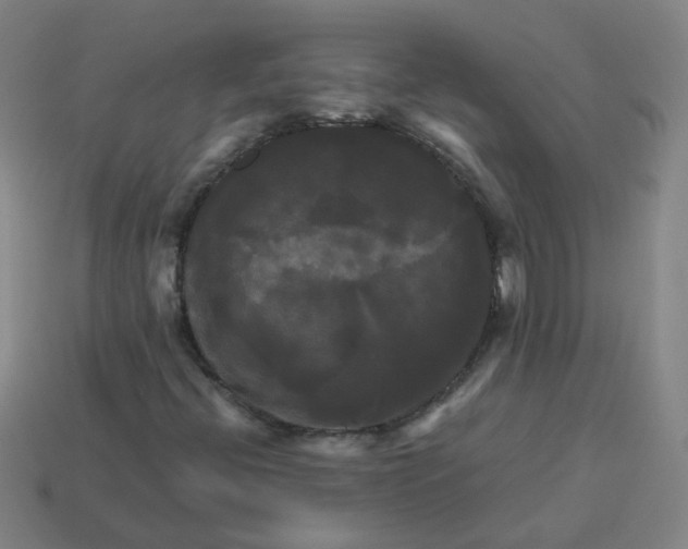 X0000113251396200910011336