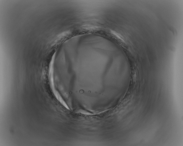 X0000113251397200910011336