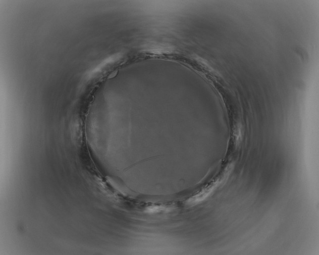 X0000113251398200910011336