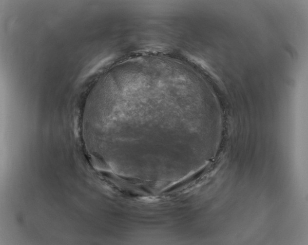 X0000113251399200910011337