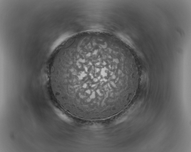 X0000113251400200910011337