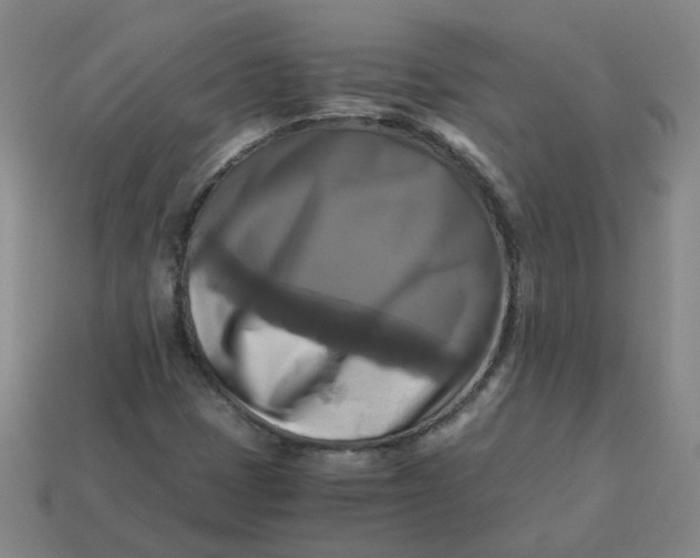 X0000113251401200910011337