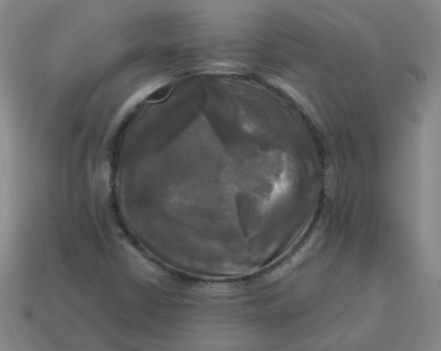 X0000113251402200910011337