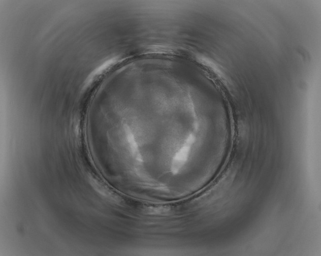 X0000113251403200910011337