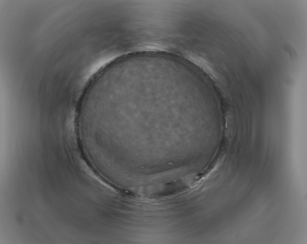 X0000113251404200910011337