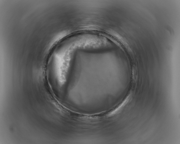 X0000113251405200910011337