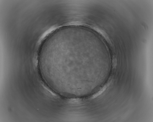 X0000113251406200910011337