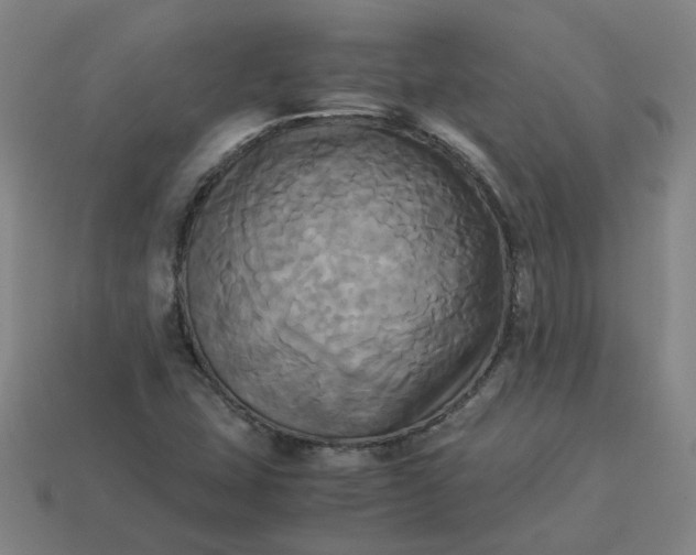 X0000113251407200910011337