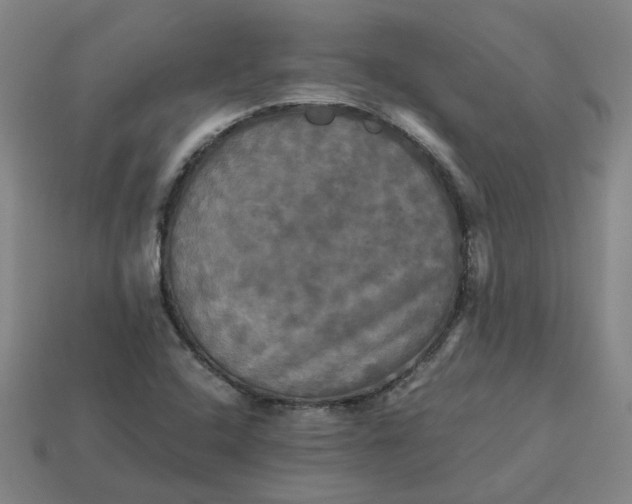 X0000113251408200910011337