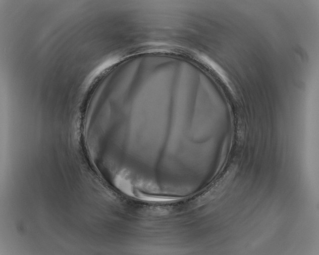 X0000113251411200910011337