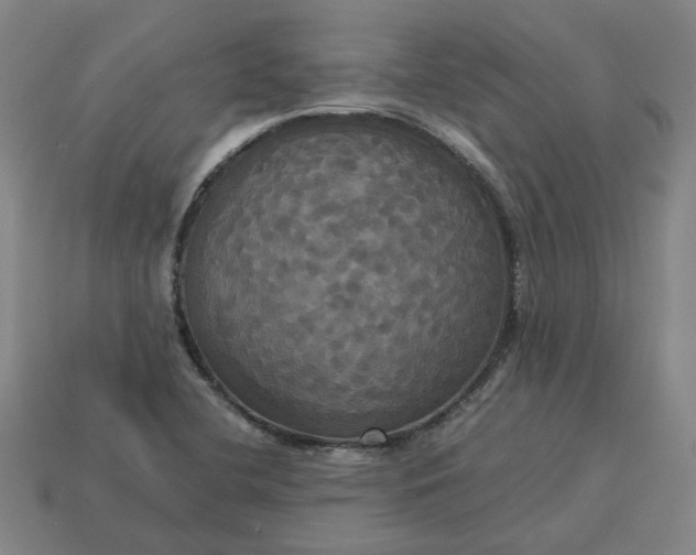 X0000113251412200910011337