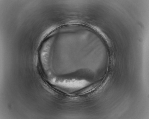 X0000113251413200910011337