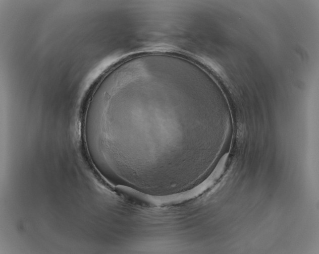 X0000113251414200910011337