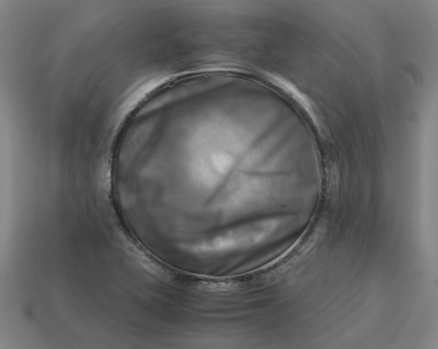 X0000113251415200910011337