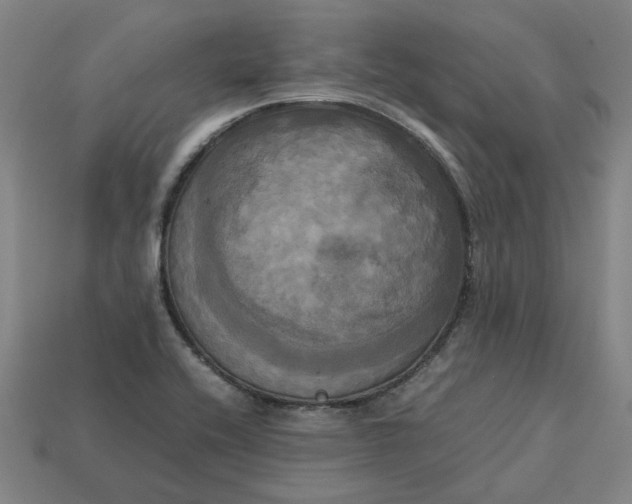 X0000113251416200910011337