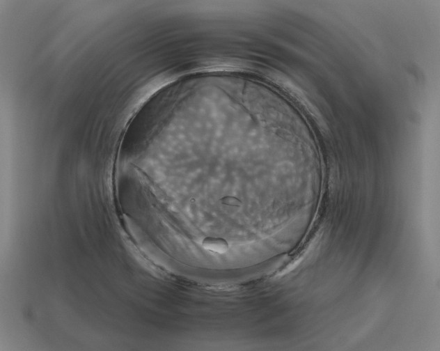 X0000113251417200910011337