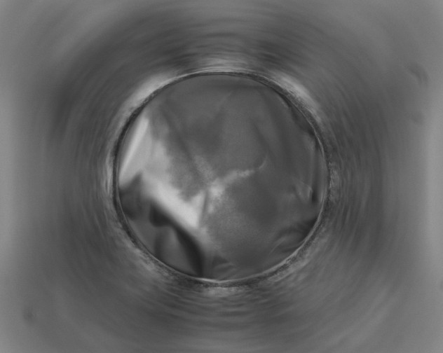 X0000113251419200910011337