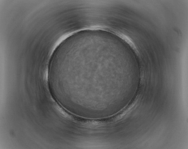 X0000113251420200910011337