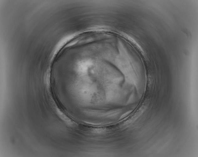 X0000113251421200910011337