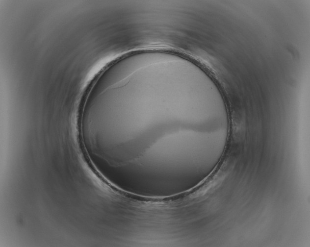 X0000113251422200910011337