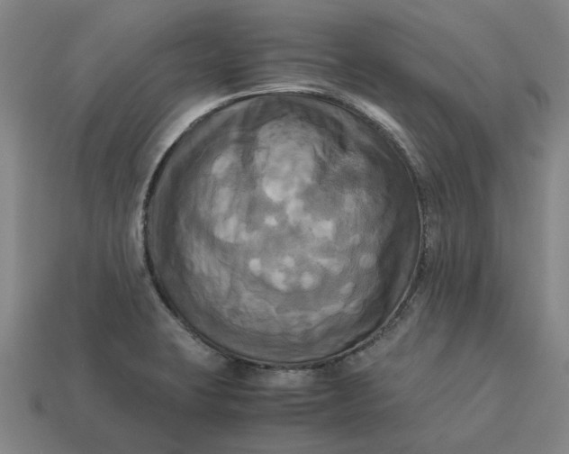 X0000113251423200910011337