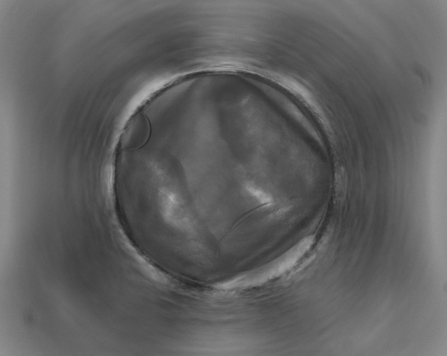 X0000113251424200910011337