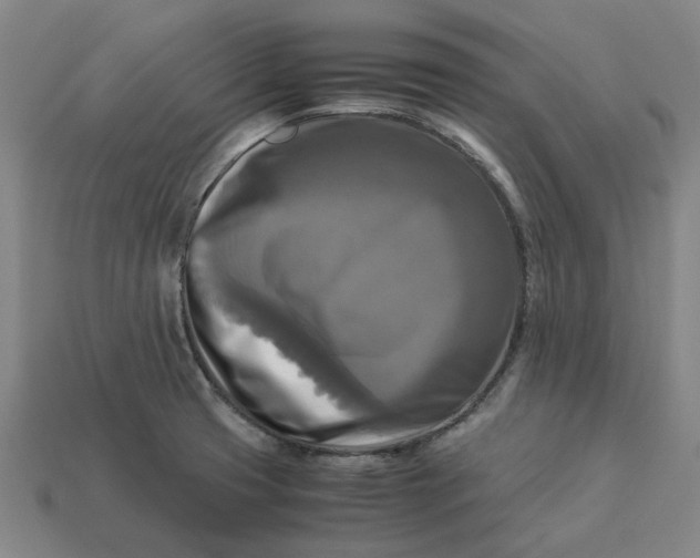 X0000113251425200910011337