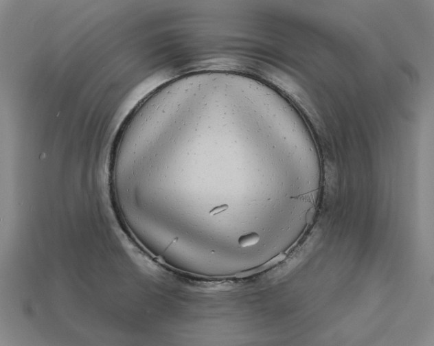 X0000113251426200910011337